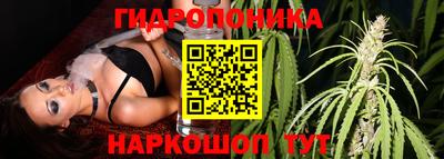 хмурый Боровичи