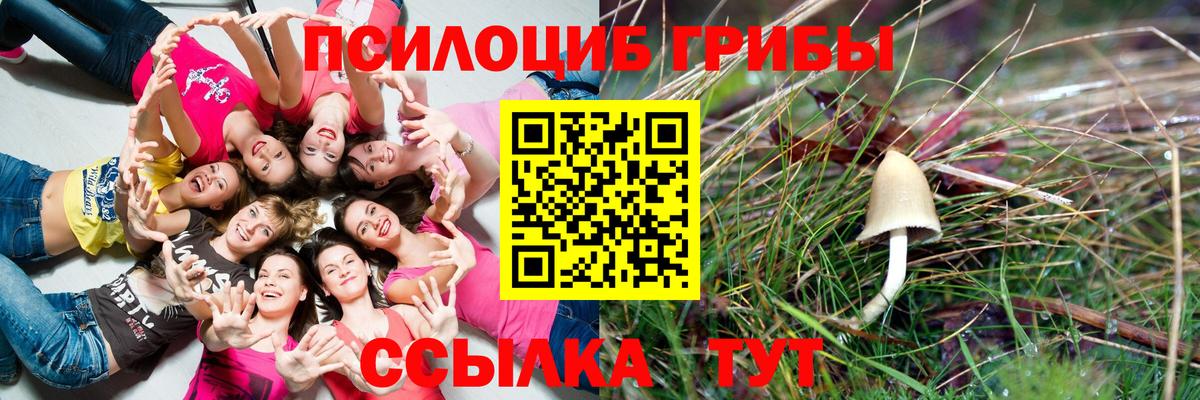 Псилоцибиновые грибы GOLDEN TEACHER  Вход с VPN  Азов 