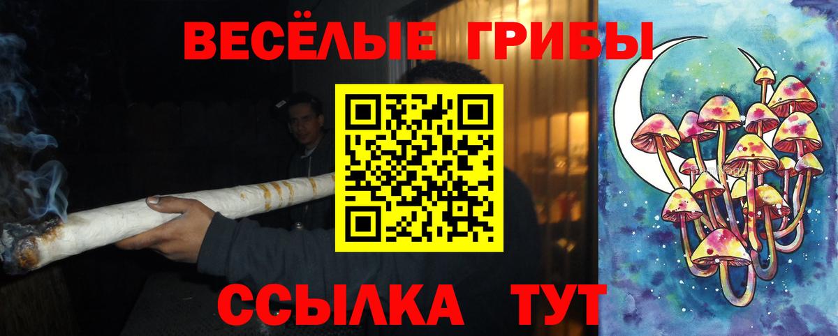 Галлюциногенные грибы Psilocybe Азов